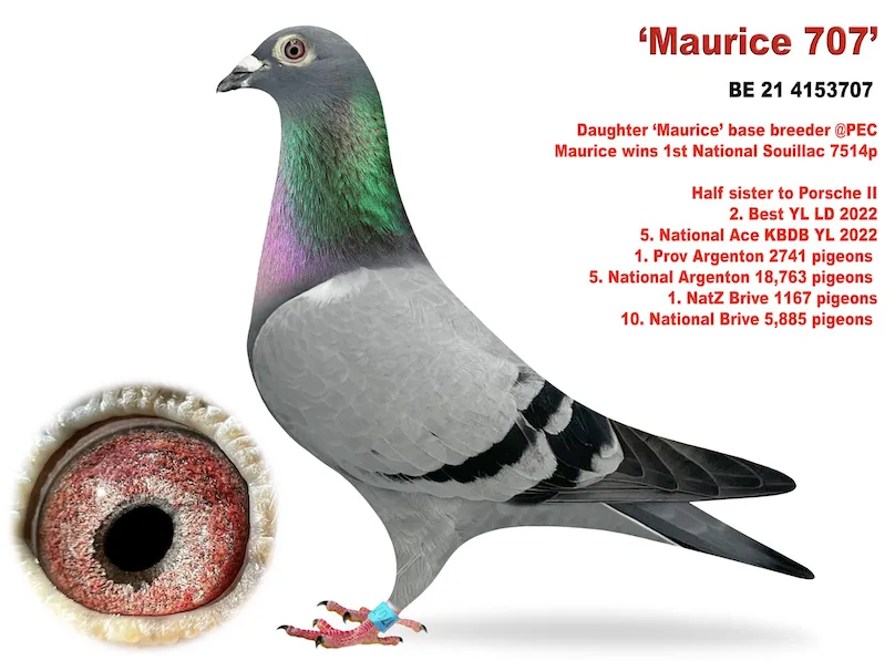 Auction Image 1